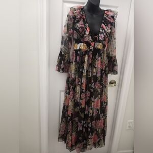 Vintage 70s MOLYCLAIRE Petite Sheer duster Maxi Dress (Sooo Beautiful!❤️)